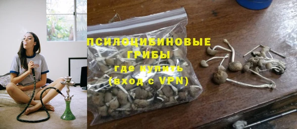 винт Бородино