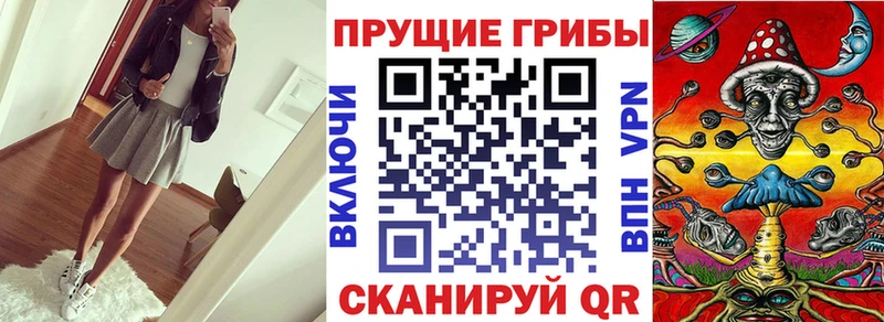Галлюциногенные грибы Psilocybe  Камызяк 